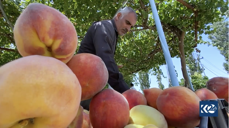 Ongoing Turkish bombing of Kurdistan Region destroys farmers' livelihoods